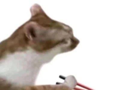 穿成狗血文主角？看我大战烂人！