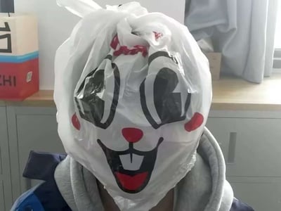 这蘑菇是真屌！