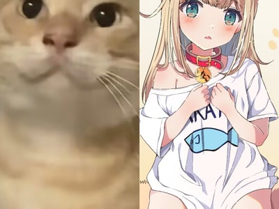 我捡到的圆头耄耋竟是暴躁浮力基？