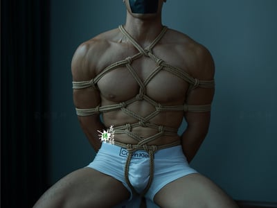 家奴王虎（致敬经典）