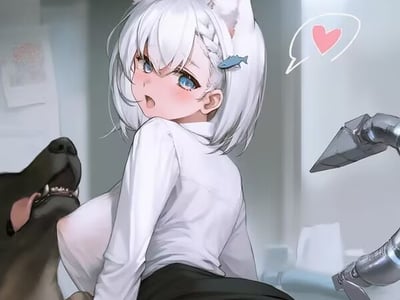 列奥家今天的猫