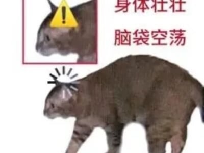 意外捡到了XX的共感娃娃？！