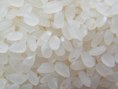 日本米荒，但是我有无限的存粮