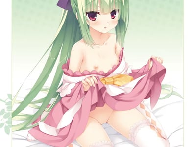 🌸丛雨🌸千恋万花丛雨丸的刀中幽灵