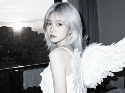 天降之物：家养天使