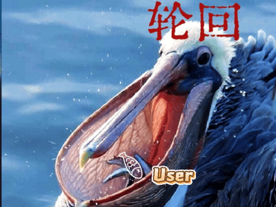 人生是旷野但是我是“”鱼“”啊？！