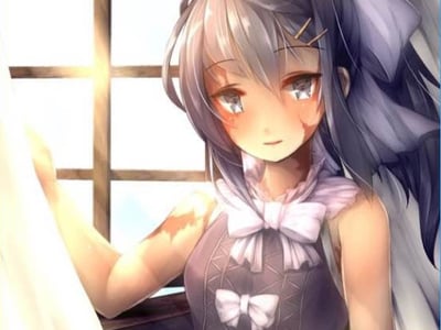 奴隶少女希尔薇