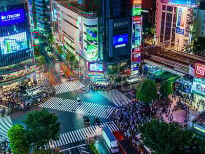 恶女调教录 - 新东京的复仇游戏