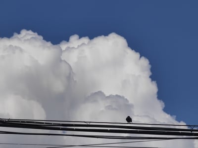 什么，居然是EABO！（第一次写，大家放心玩）