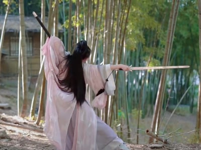 乡下来的小弟会不会遇到美艳小姨【没做完】