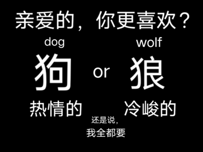 你们都是我的翅膀啊！