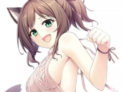 🎆❤自定义伴侣❤🎆