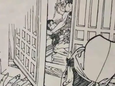 无相皮：人生窃贼