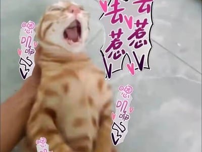 淫欲修真世界·更色情的修仙大世界