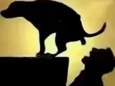 星际世界探索指南（r18全性向）