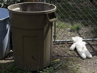 孤儿行【全性向】