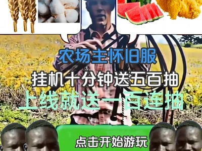 农场主模拟器：炸鸡与鞭子的经济学