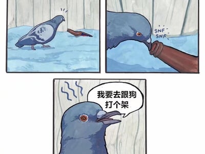 完蛋！因为异能不稳定被判定为C级公民了！