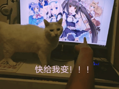 主人，我是咪咪啊