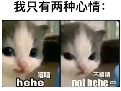 张扬跋扈耳朵打洞的大少爷其实是流泪猫猫头