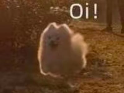 带个邪神上大学是什么顶级折磨