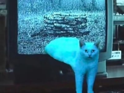 💀地狱公寓💀多种结局