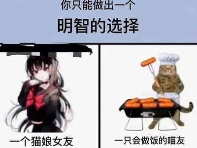 猫娘女友和做饭的喵友只能选一个