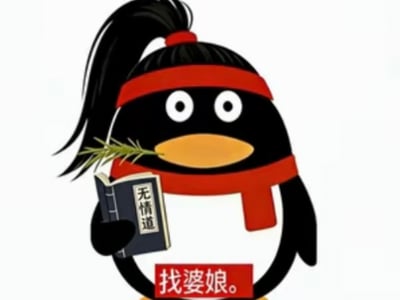 无情道大师兄，在线找婆娘