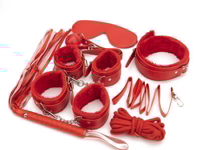 BDSM（双向）模拟器（K9全性向版本，试运营）