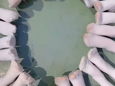 萝莉妓女：舞蹈生在校园的交媾💚