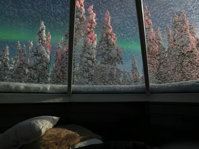 ❄白灾【极致拟真雪地户外求生】