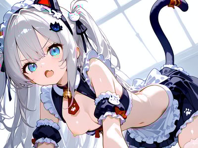 💖你和你的小猫💖