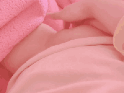 一切只是主人的任务罢了