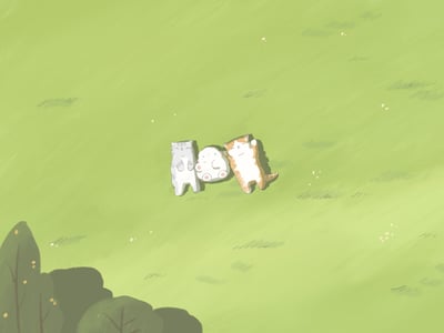 心之声，声之形