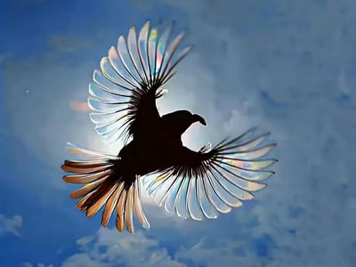 《青天明断昭雪录》