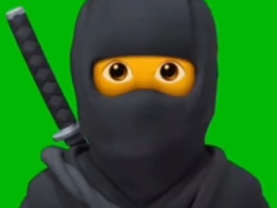 蕾忍宗·忍之路