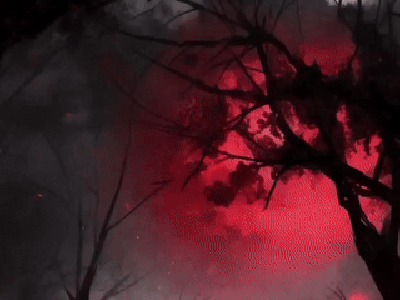 【超低消耗】规则怪谈模拟器（我能修改规则）