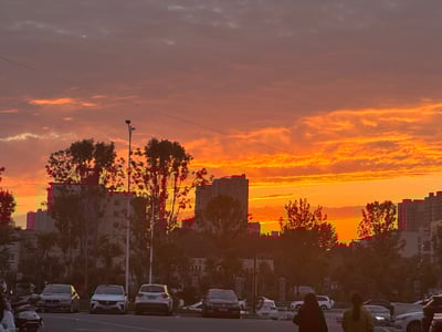 重生之我在风月