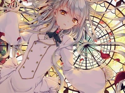 触手怪的魔法少女调教日记～最强魔法少女的堕落之路～