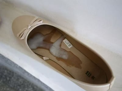 楼道胶师傅模拟器