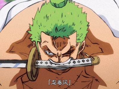 海贼王(可涩可剧情)