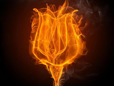 靈魂控制改造-歡喜聖火