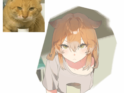 🐱 开局捡到一只哈基米 🐾敢哈气？这下不得不爱了💗