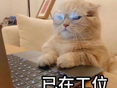 明明只是路人，在全经典小说路过