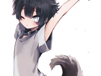 关于我养了20年的哈士奇寿终的时候变成小正太了