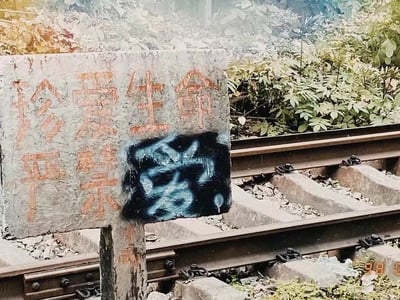 DO NOT LOVE/不允许爱存在的世界