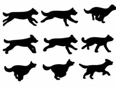 小狗旅行车/和犬人一起踏上旅途吧！