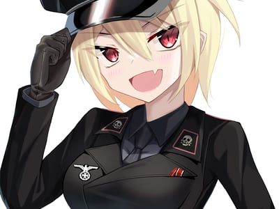 我老婆不可能是雅利安超人！