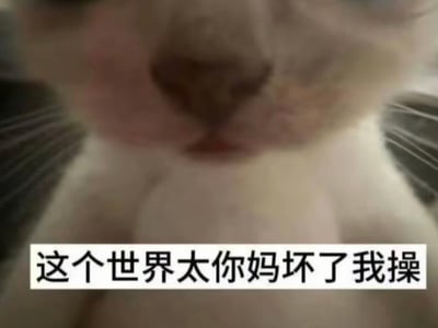 【单人卡】毒舌上司竟然是马猴烧酒？！！
