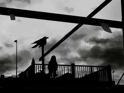 💀惊变100天💀